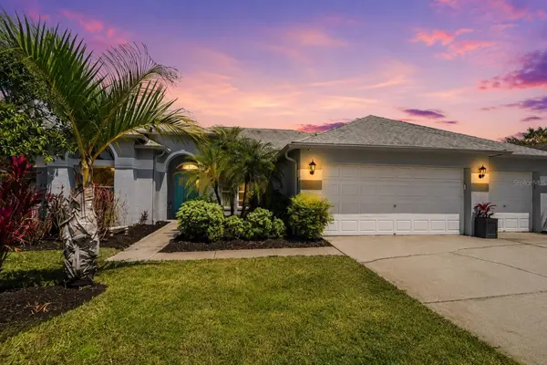 Neville Clarke Jr. - Tampa/FL REALTOR in Tampa, FL (5)