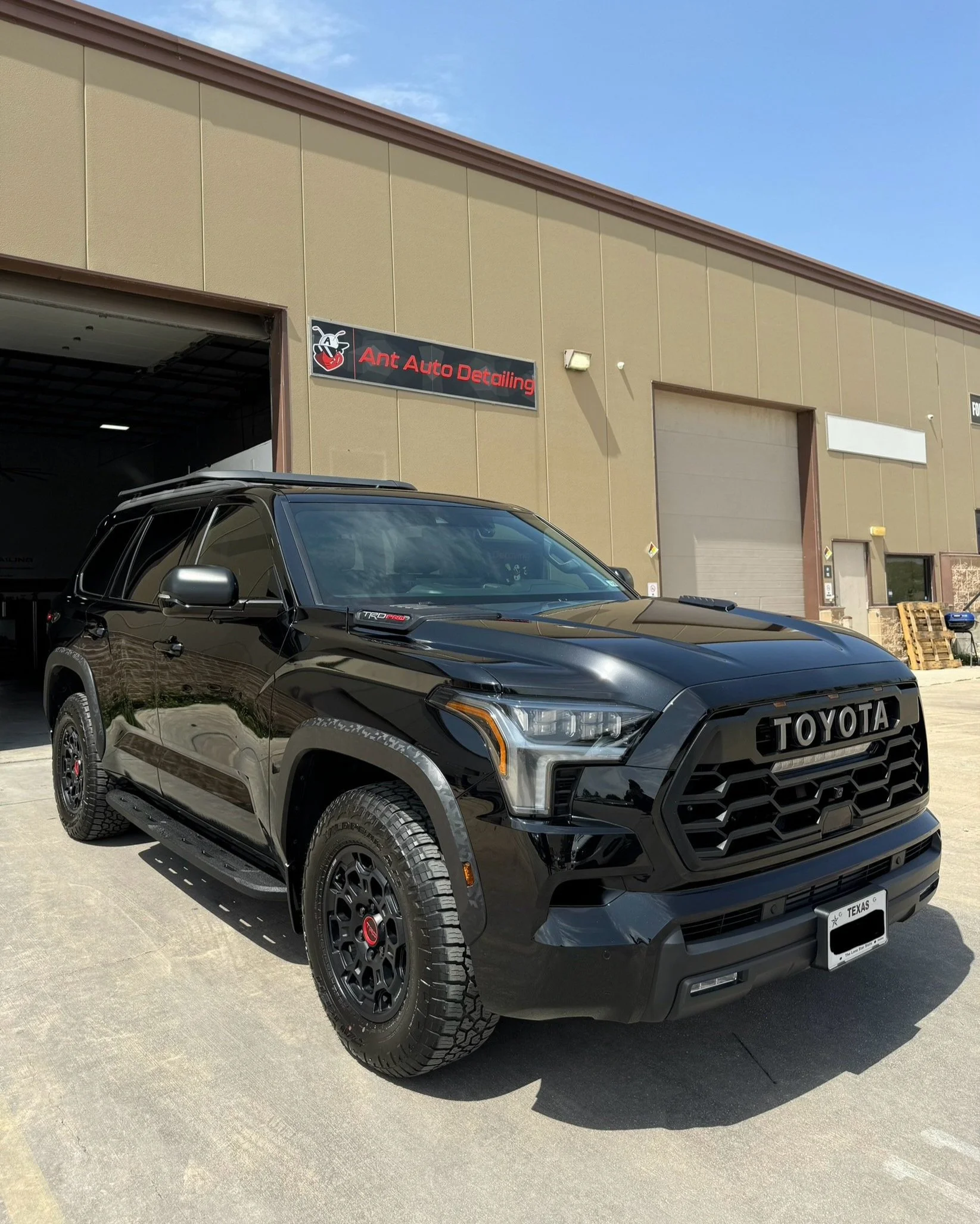 Ant Auto Detailing in San Antonio, TX (3)