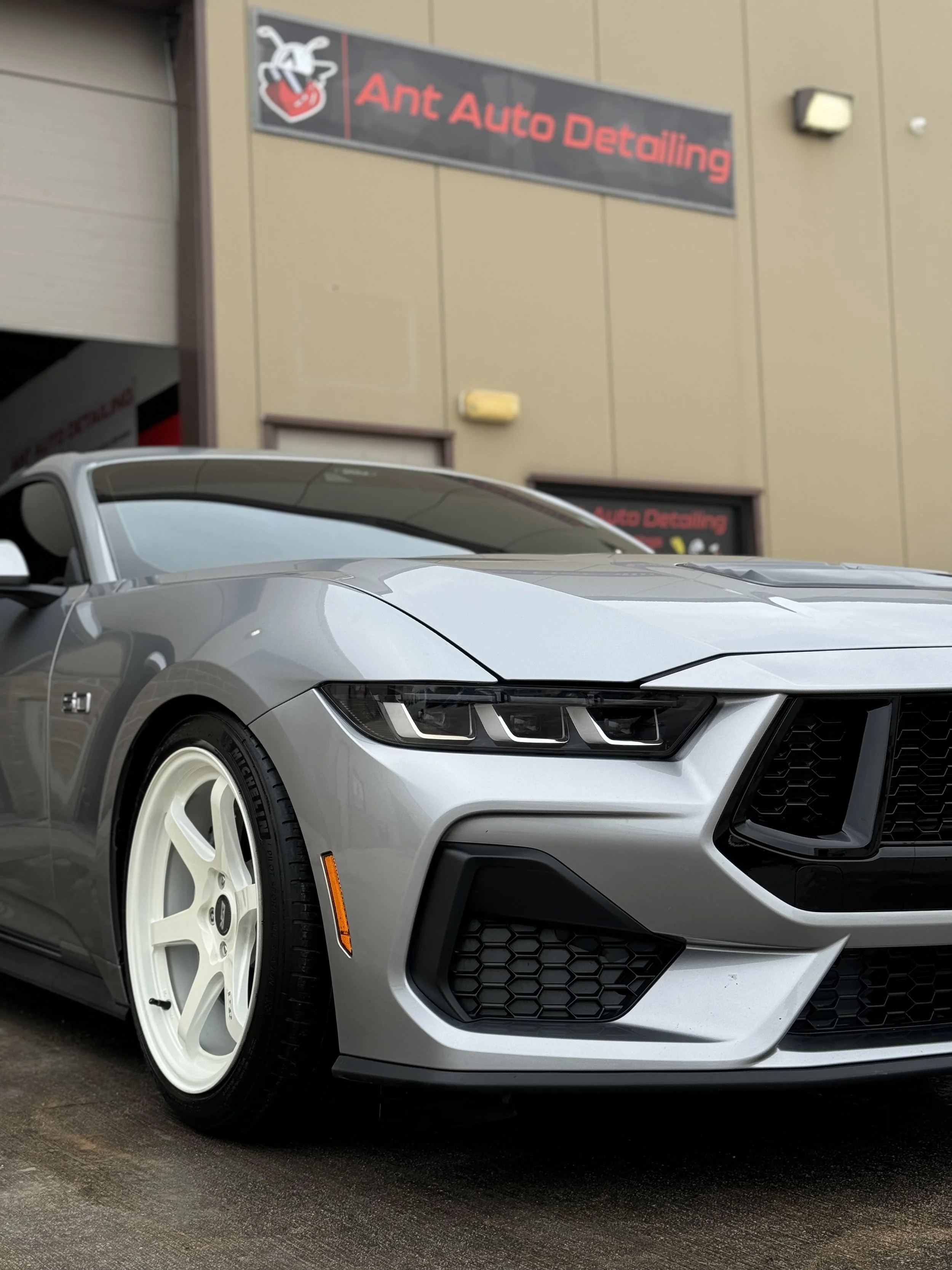 Ant Auto Detailing in San Antonio, TX (4)