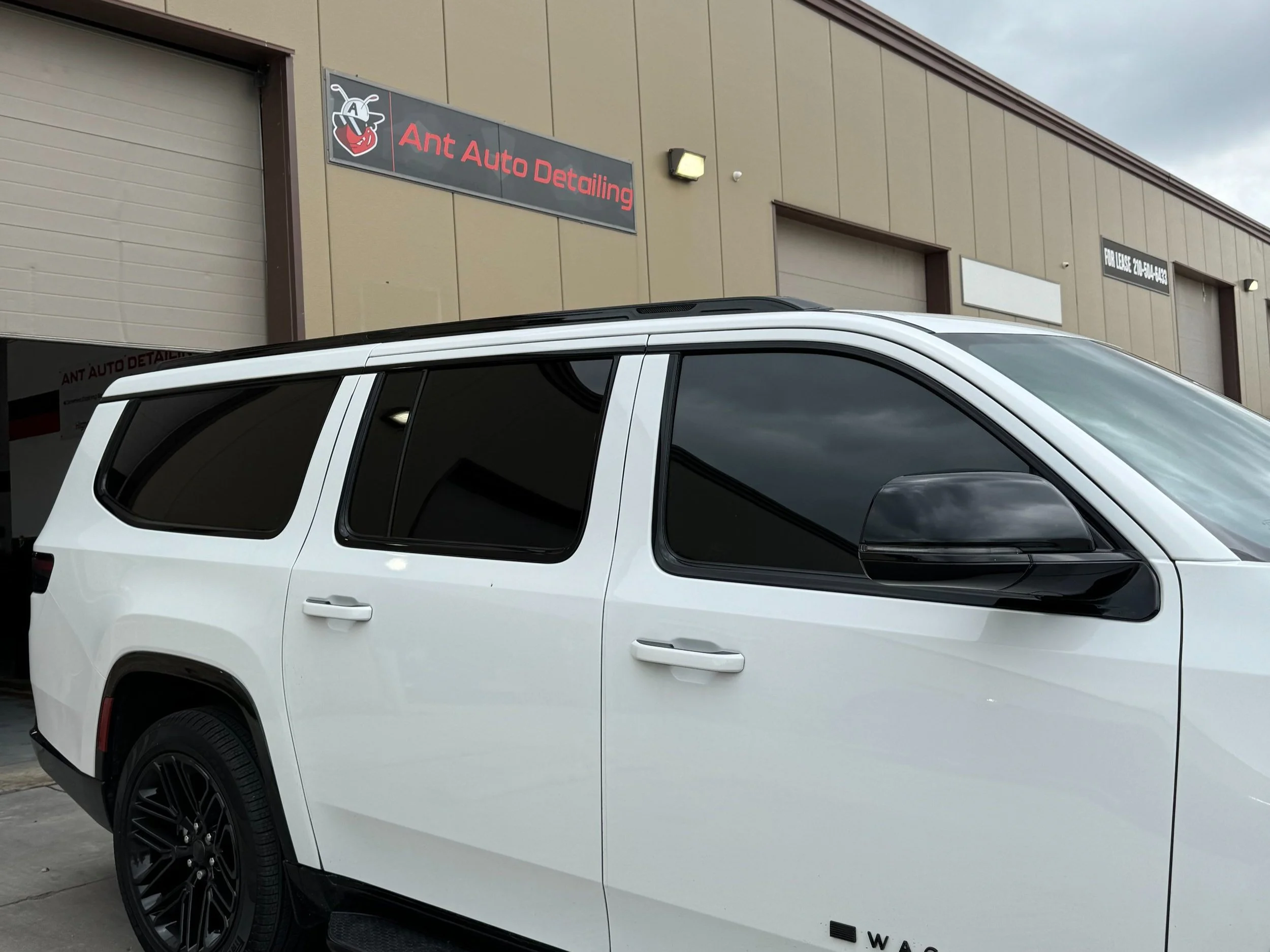 Ant Auto Detailing in San Antonio, TX (6)
