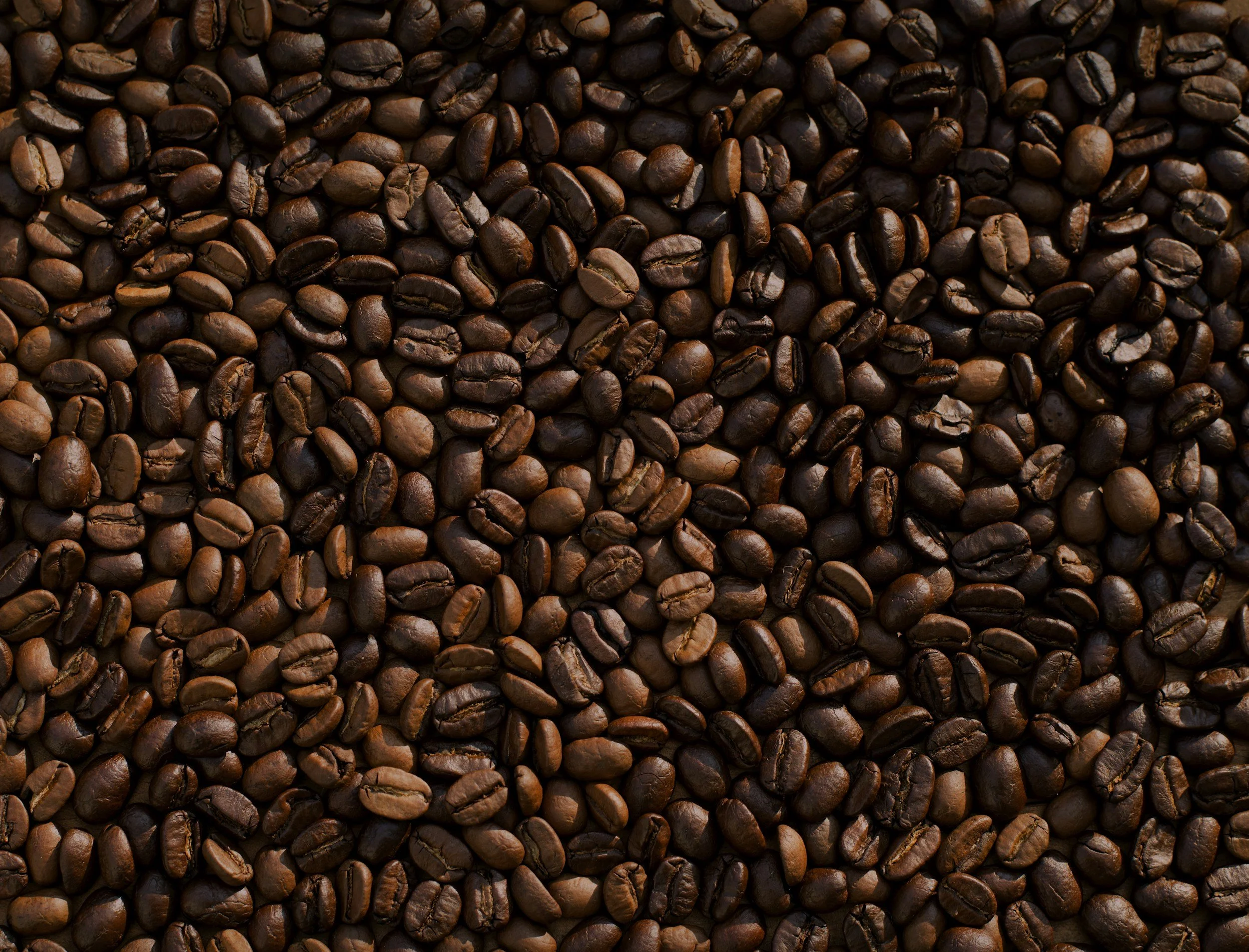 Coffee & Chisme in South Gate, CA (2)