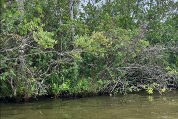 Raritan Headwaters Association in Far Hills, NJ (2)