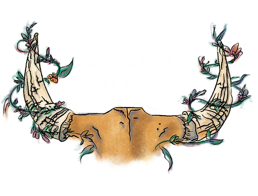 Natural State in Glenside, PA