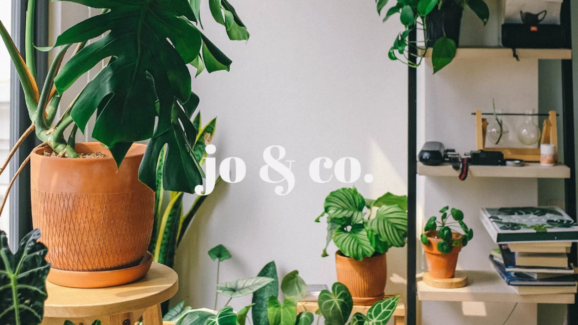 Jo & Co. in The Woodlands, TX (3)