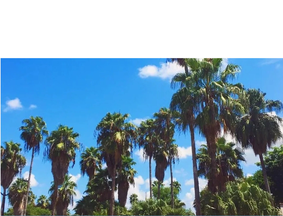 CAS CPA LLC in McAllen, TX