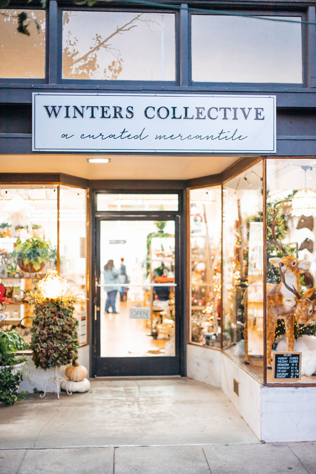 Winters Collective in Winters, CA (2)