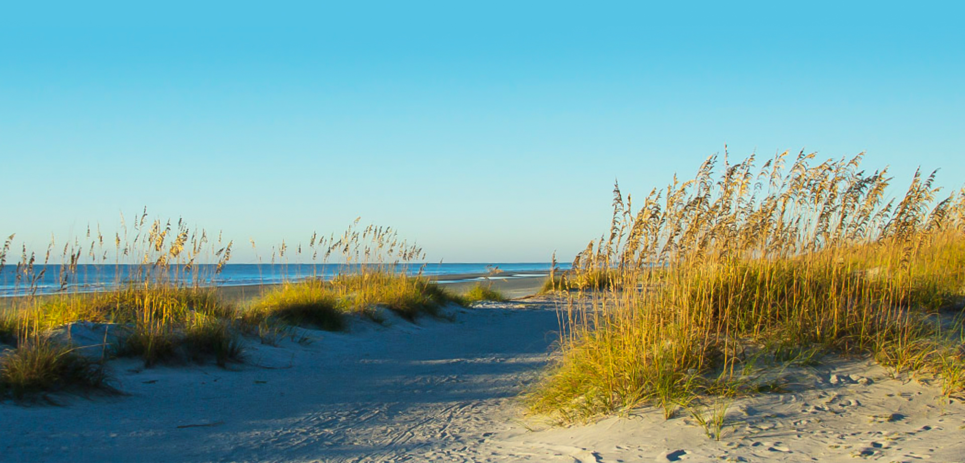 Wiseman Law Firm LLC in Hilton Head Island, SC