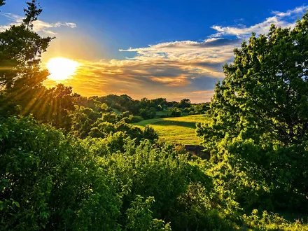 Mossy Oak Properties - Cross Timbers Land & Home in Gainesville, TX (5)
