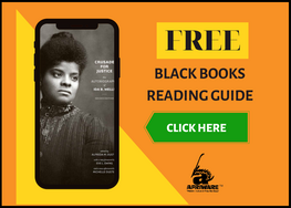 AfriWare Books in Oak Park, IL (3)