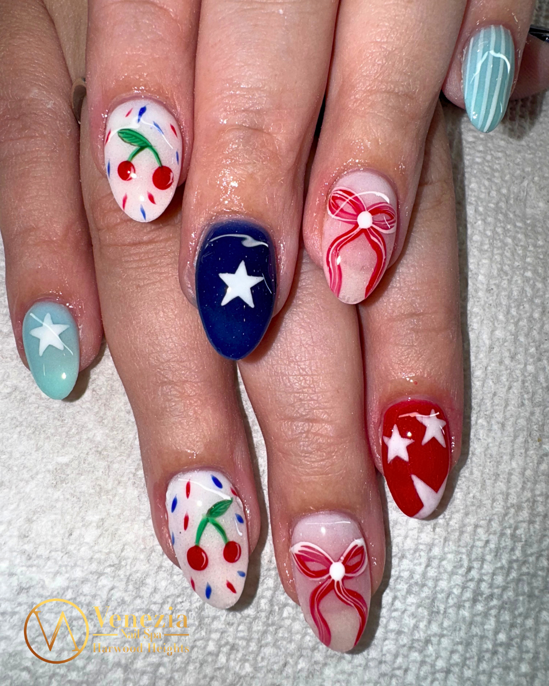 Venezia Nails Spa in Harwood Heights, IL (5)