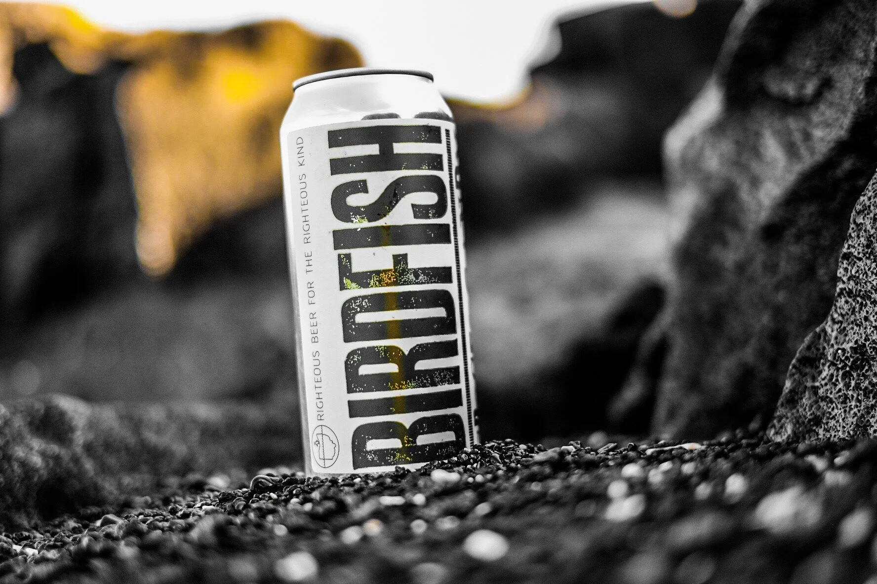 Birdfish Brewing Co. in Columbiana, OH (3)