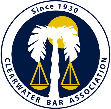 Safir Injury & Criminal Defense Law in St. Petersburg, FL (3)