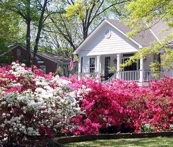 Melissa Wiggans, Realtor in San Antonio, TX (2)