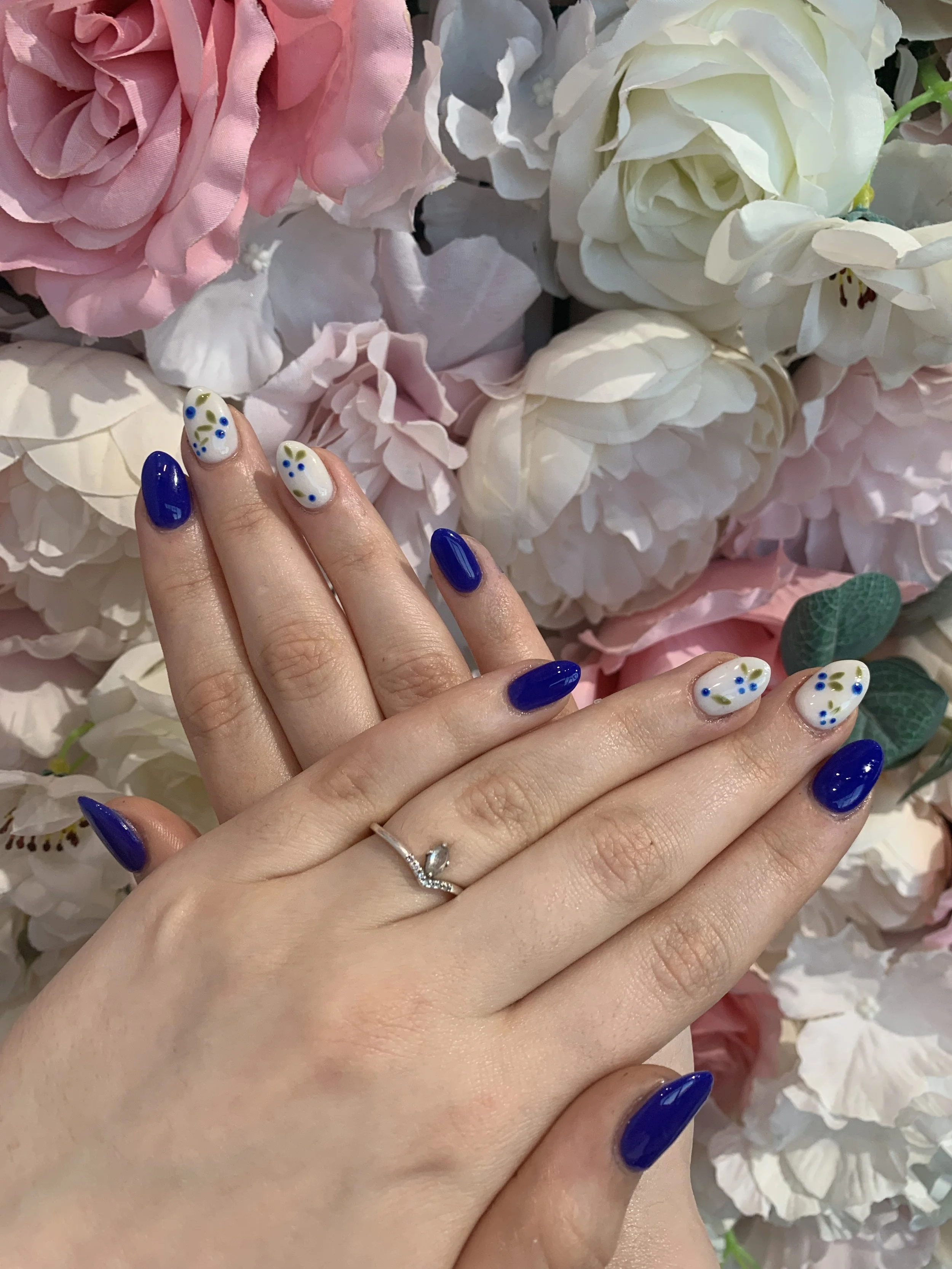 New Posh Polish Nail Salon in Westfield, IN