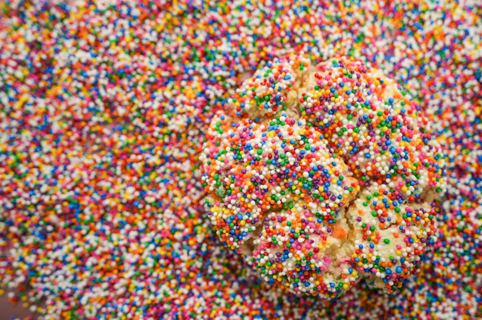 CAKED | Cookies + Brownies in San Diego, CA (6)