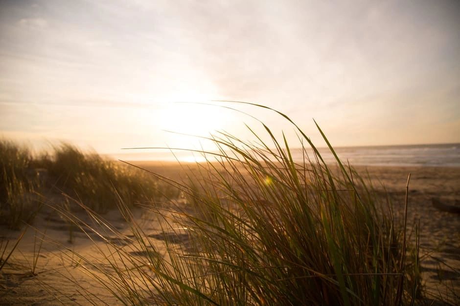 Tide Law Firm in Myrtle Beach, SC