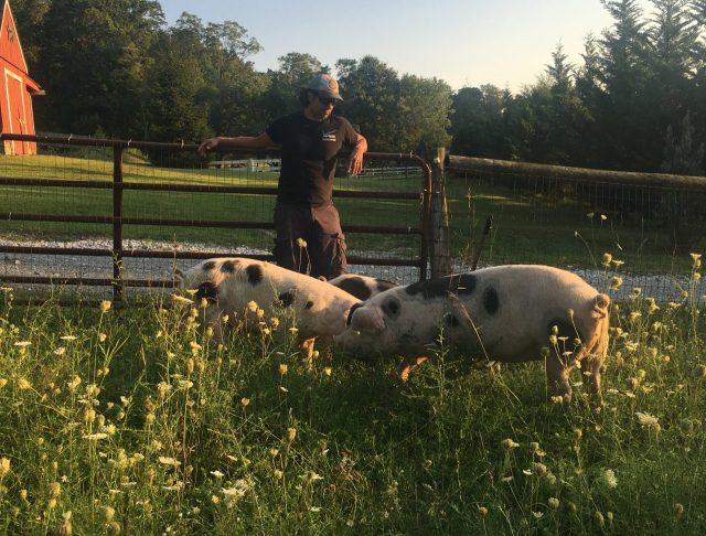 Whistle Punk Farm Delicatessen in Brunswick, MD (2)