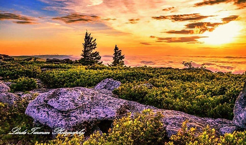 Adrian Properties WV, LLC in Ellenboro, WV (4)