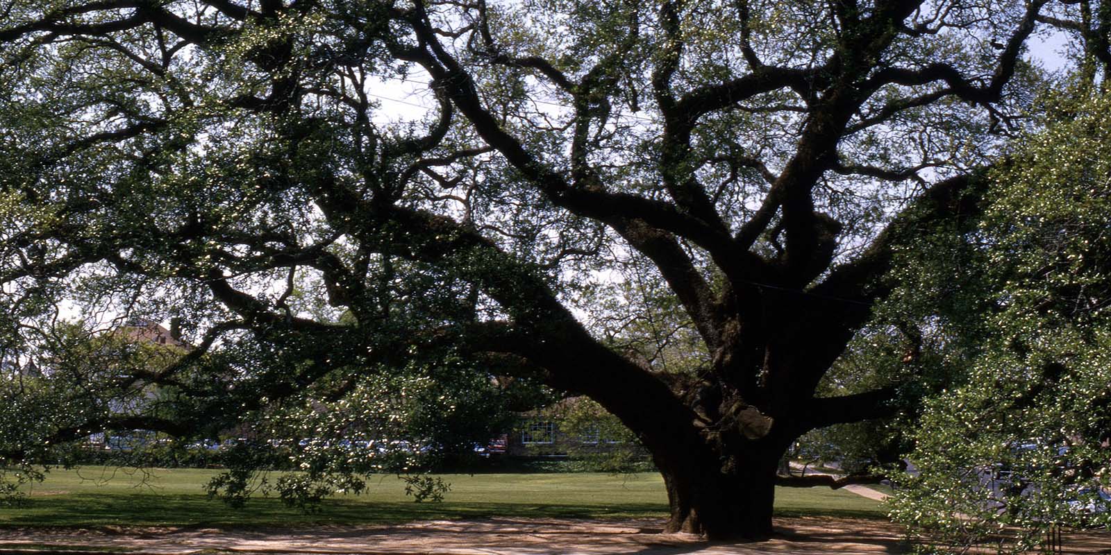 CLARK & BELLAMY, P.C. in Thomasville, GA (2)
