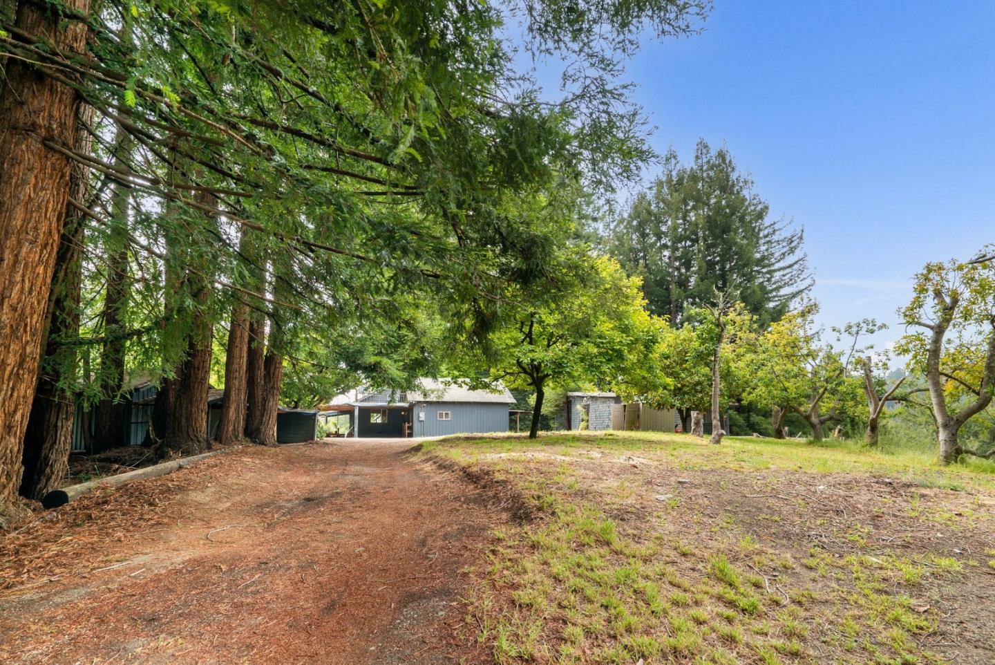 David Lyng Real Estate - Carmel-by-the-Sea in Carmel-By-The-Sea, CA (3)