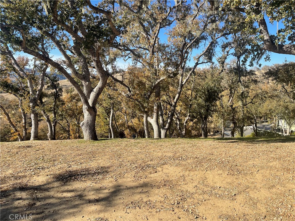Amber Johnson, Pillar Real Estate in Paso Robles, CA