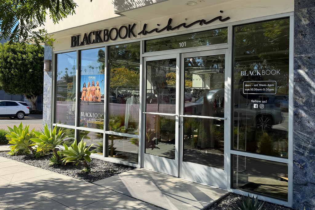 BlackBook Bikini in Encinitas, CA (5)