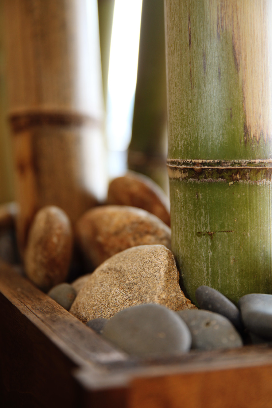 Bamboo Nails & Spa in Warner Robins, GA