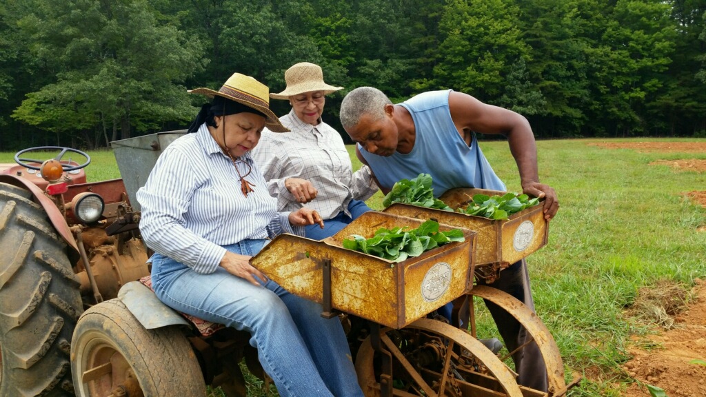 Abanitu Organics in Roxboro, NC