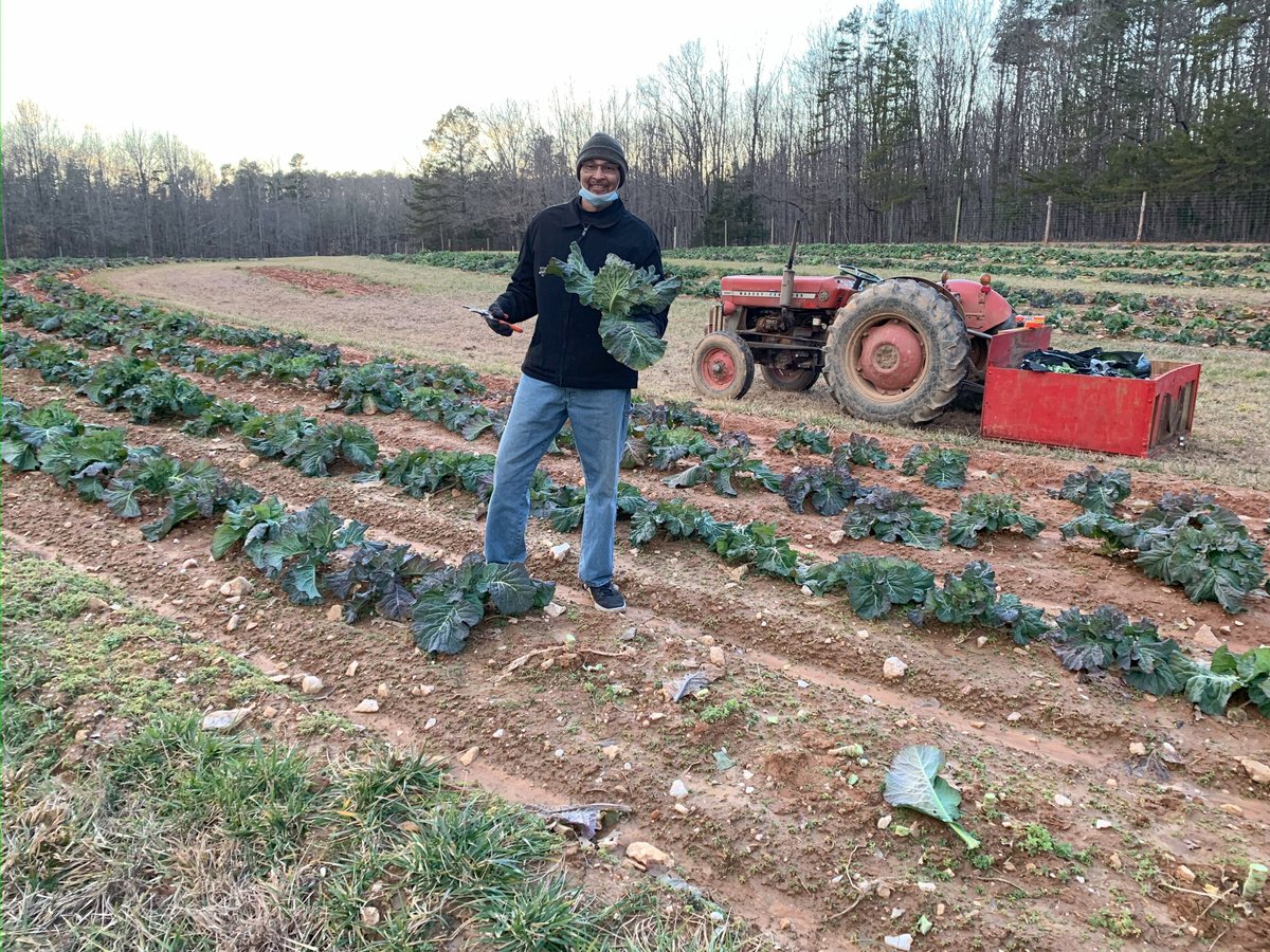 Abanitu Organics in Roxboro, NC (3)