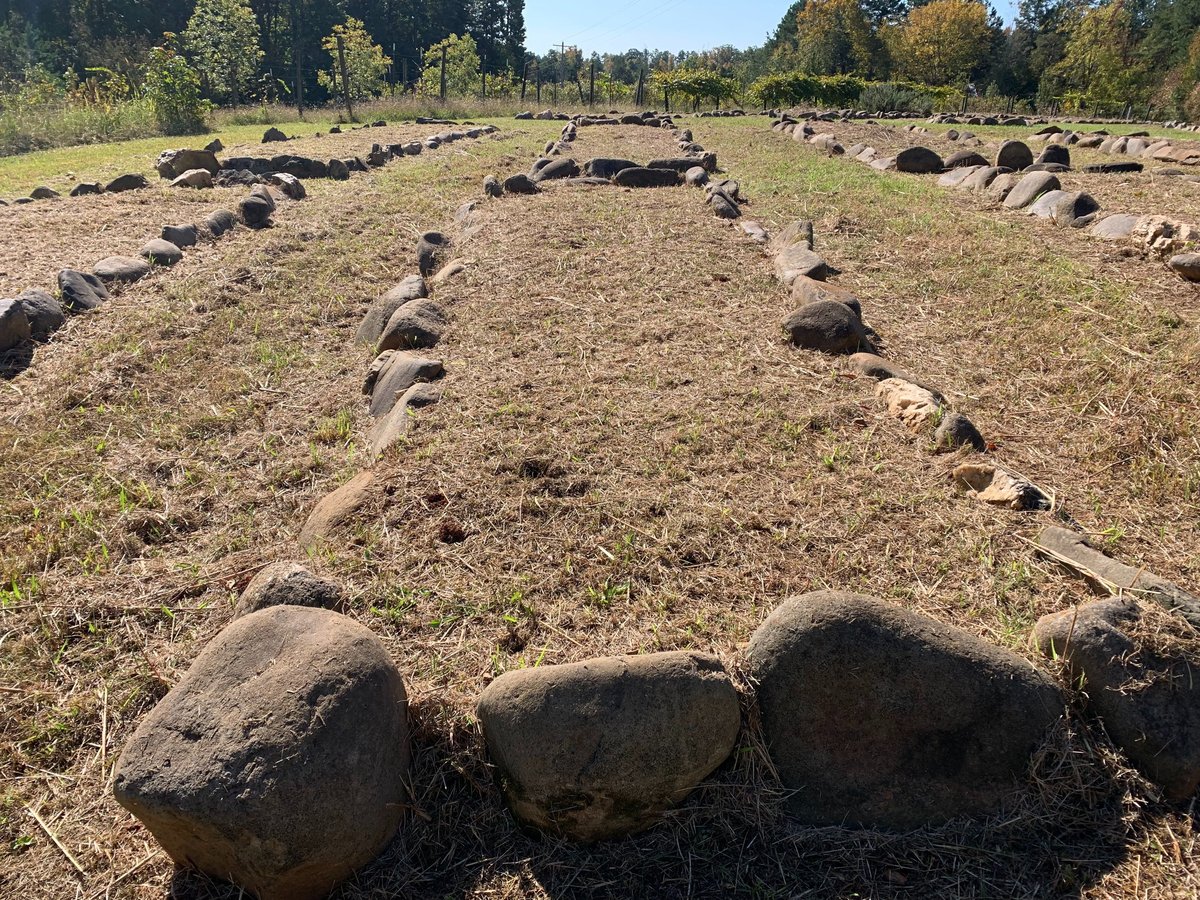 Abanitu Organics in Roxboro, NC (4)