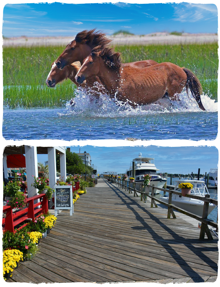 Beau Coast in Beaufort, NC (3)