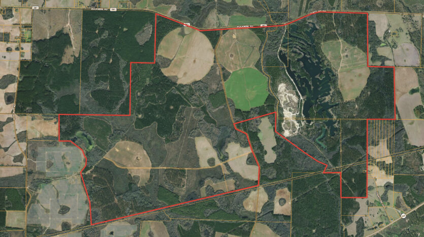 Agri Land Realty, LLC in Blakely, GA