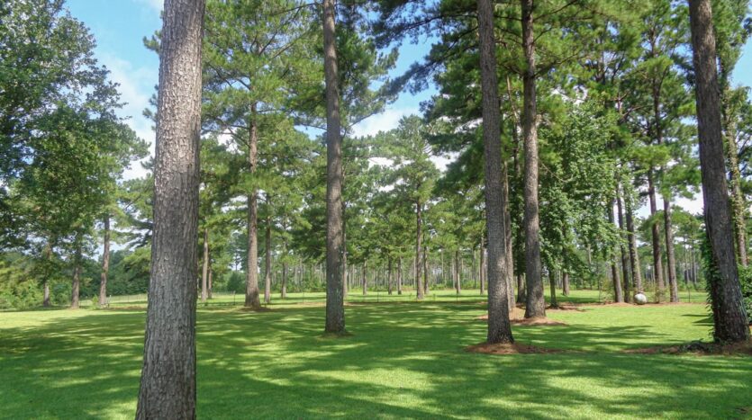 Agri Land Realty, LLC in Blakely, GA (2)