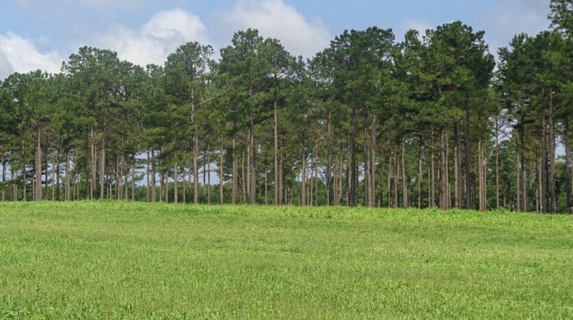 Agri Land Realty, LLC in Blakely, GA (5)