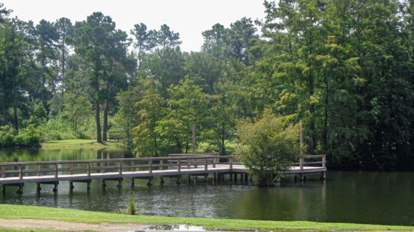 Agri Land Realty, LLC in Blakely, GA (6)