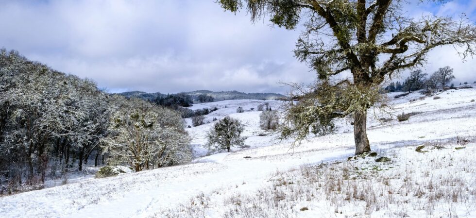 Stephen F. Johnson in Ukiah, CA (4)