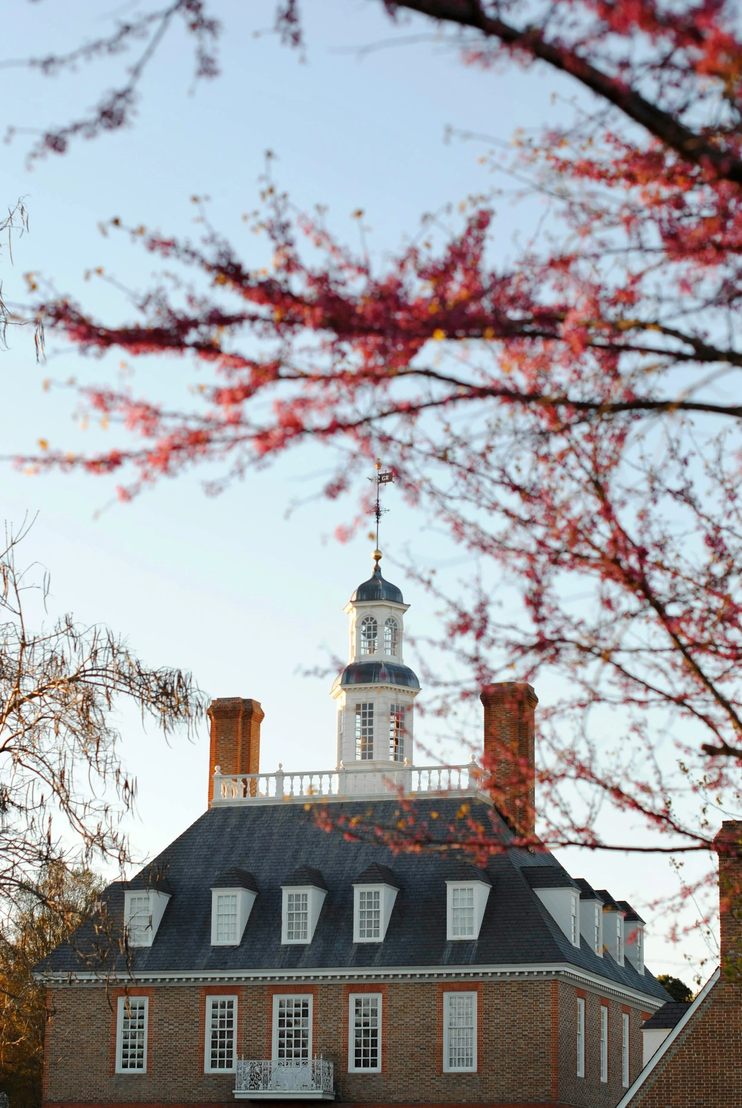 Hill & Schultz in Williamsburg, VA