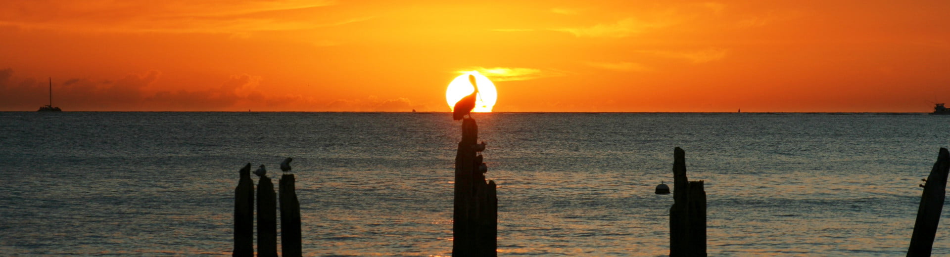 Core on the Coast in Apalachicola, FL (5)
