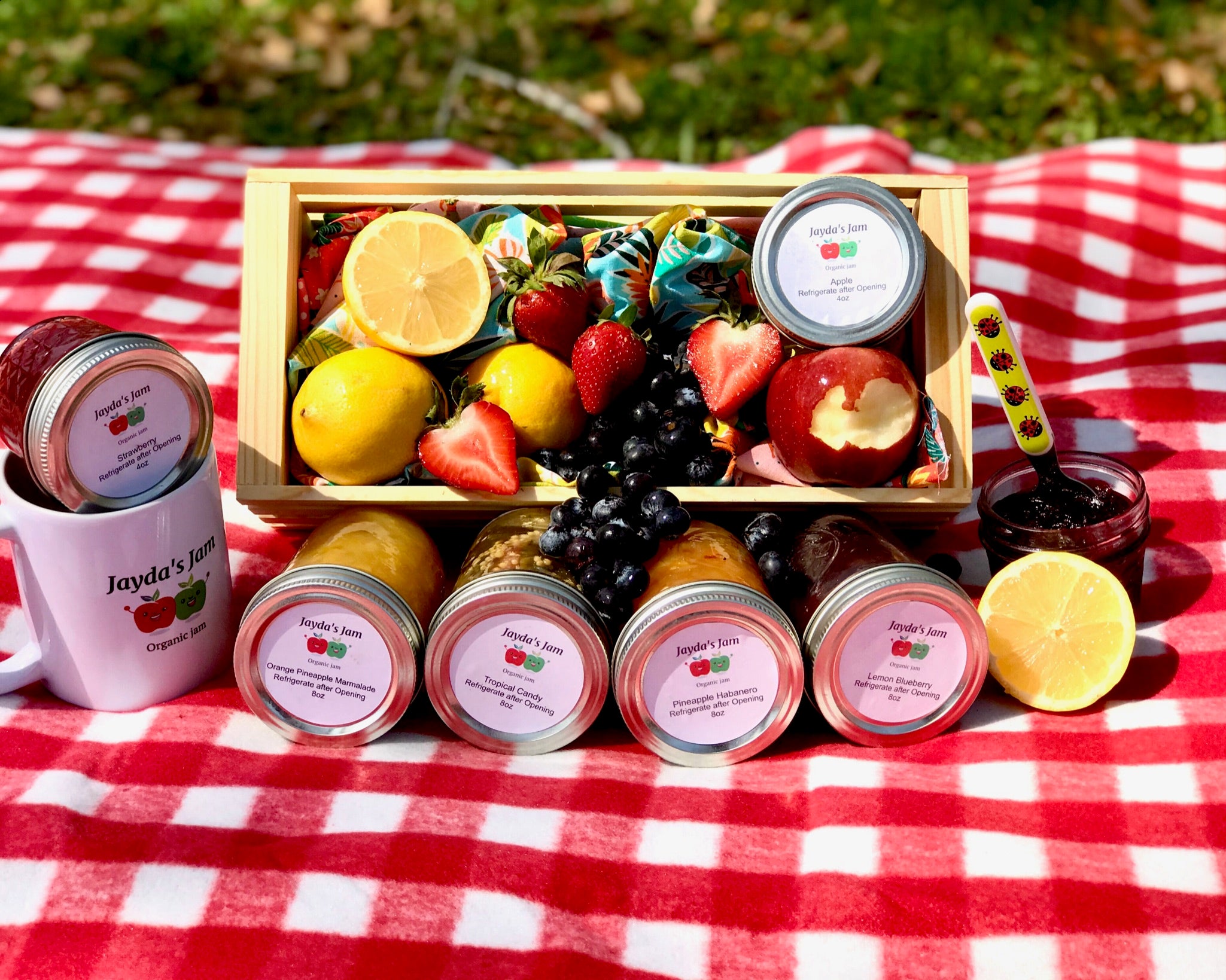 Jaydas Jam in Orange Springs, FL (3)