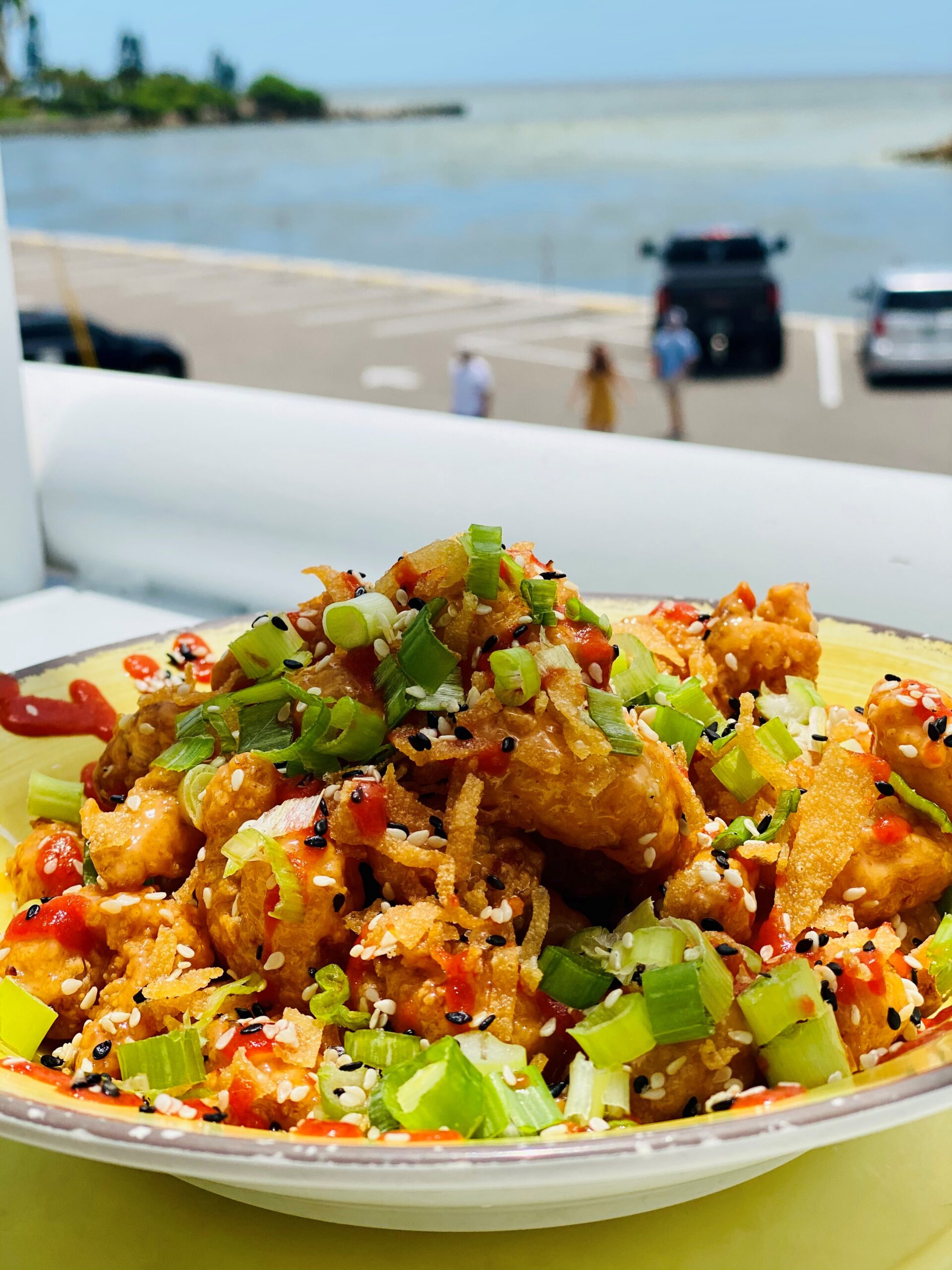The Toasted Monkey in St Pete Beach, FL (2)