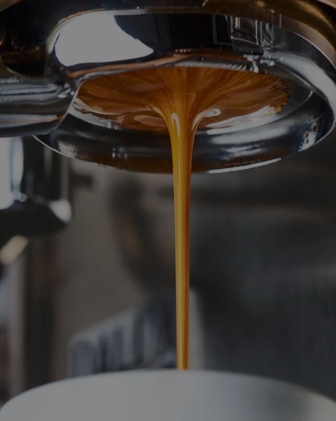 Coffee Au Lait in Pittsburgh, PA