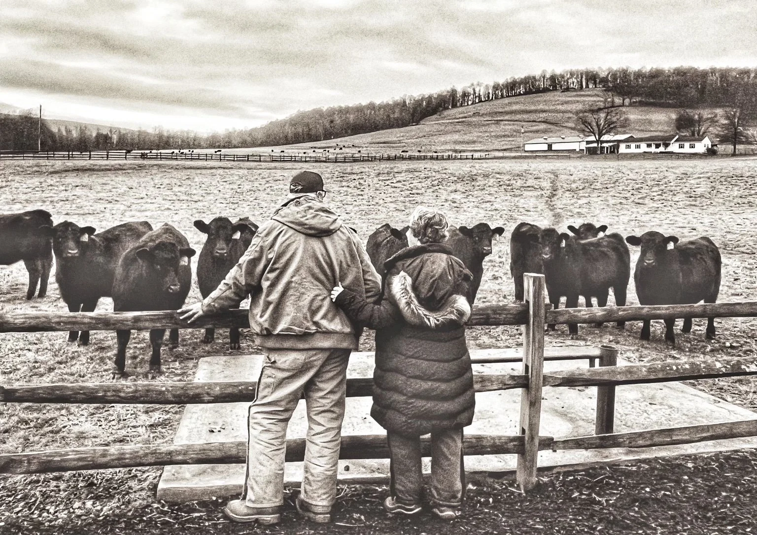 Tubmill Creek Provisions in Ligonier, PA