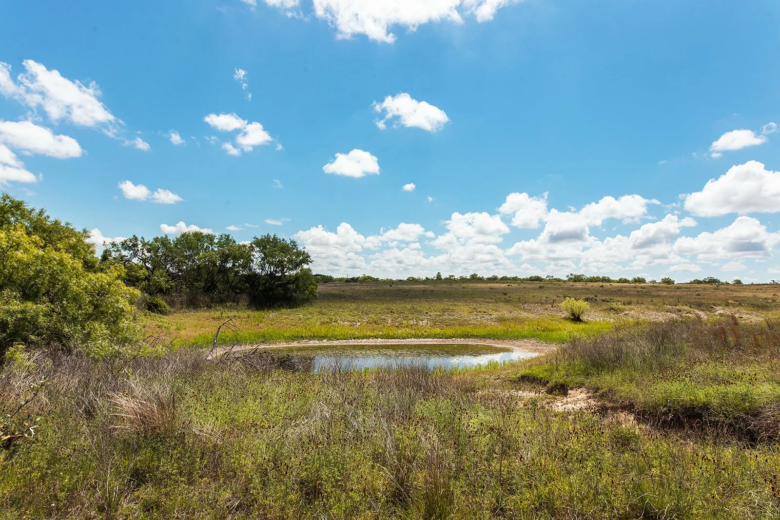 Heartland Real Estate Group in Brady, TX (4)