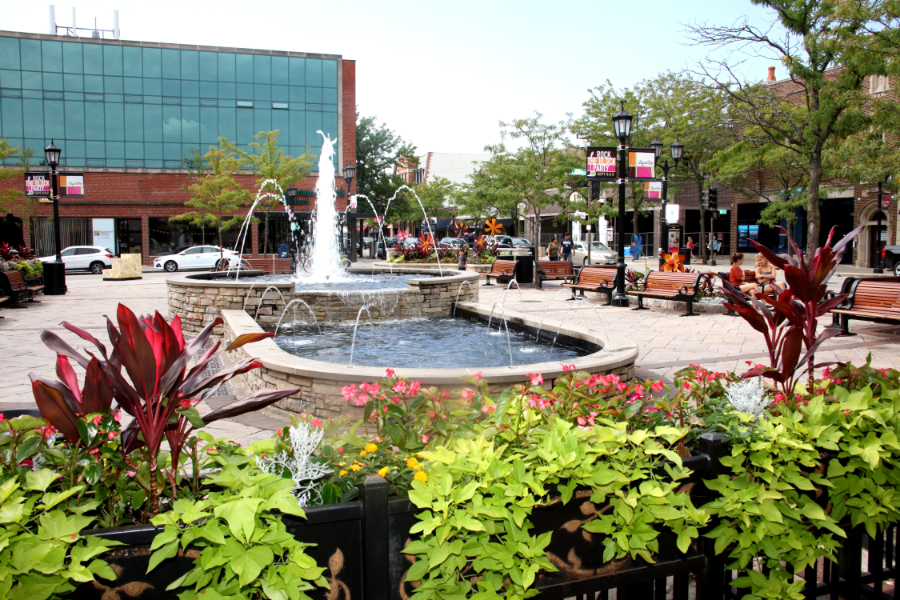Max Gorenyuk - Illinois / Florida Real Estate Broker | Core Realty & Investments in Deerfield, IL (2)