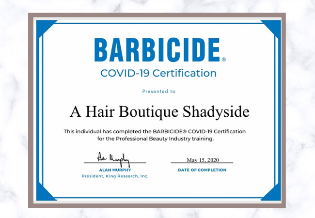 A Hair Boutique Shadyside in Pittsburgh, PA (6)