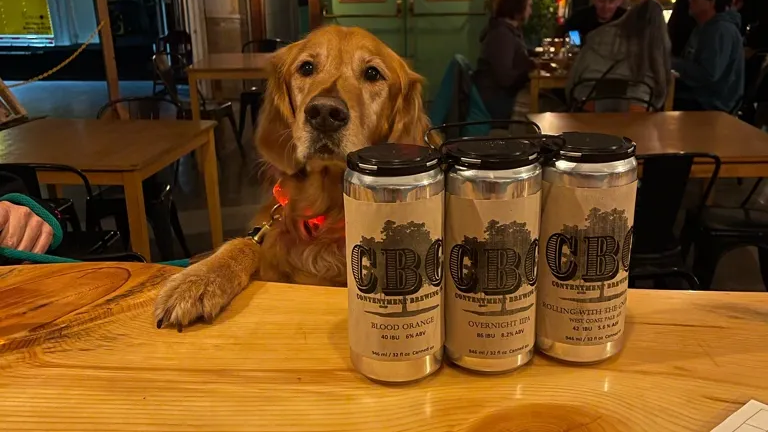 Contentment Brewing Company in Modesto, CA