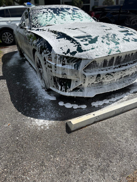 Gloss ‘N Go Mobile Detailing in Oldsmar, FL (2)