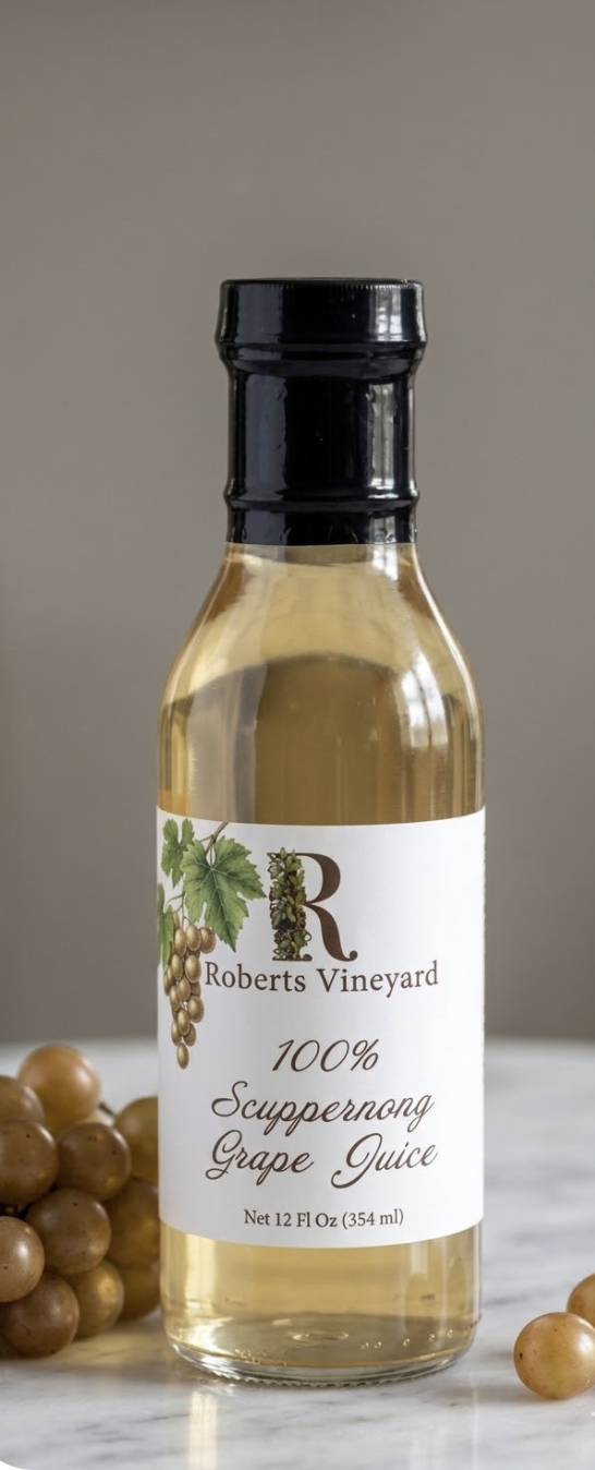 The Roberts Vinyard in Byron, GA (2)
