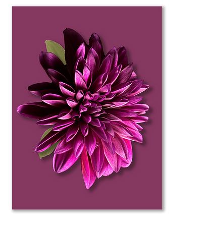 Dahlia Law Group PC in Oakland, CA