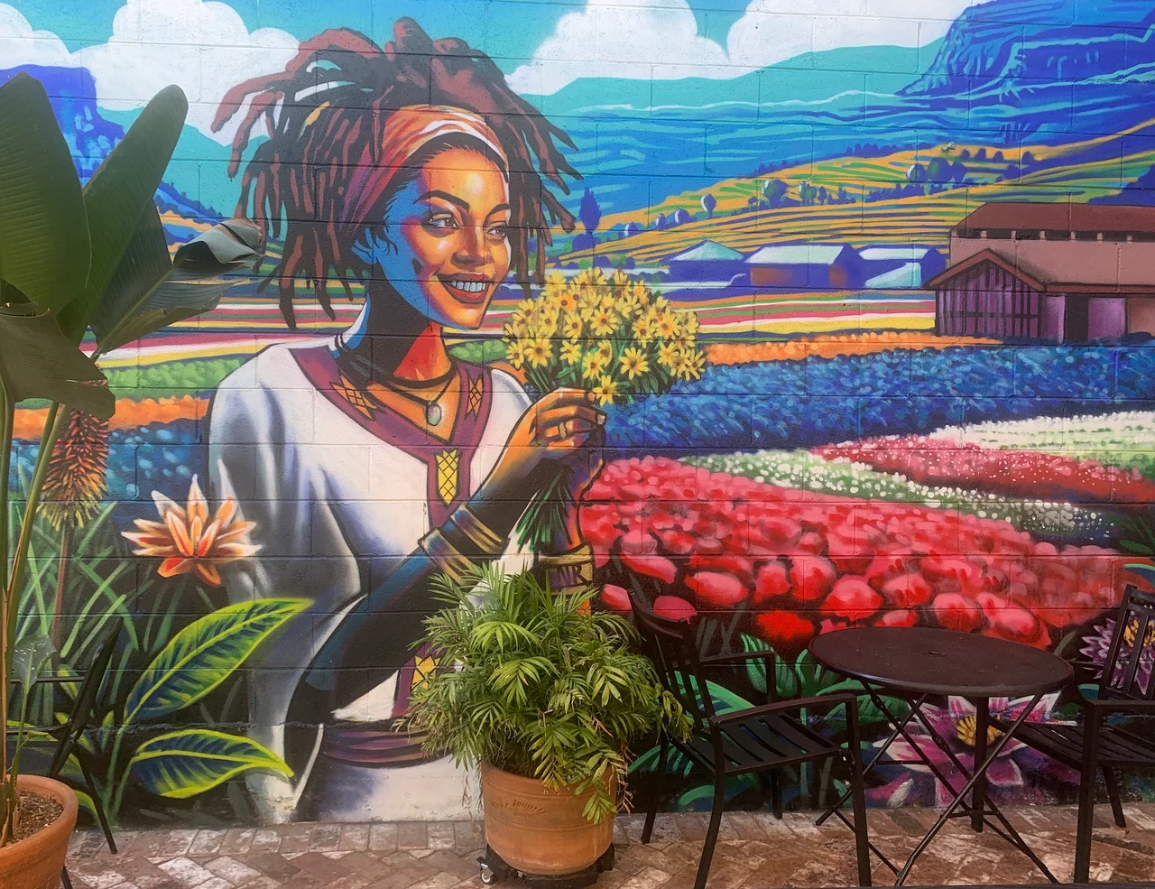 Café Colucci in Oakland, CA (3)